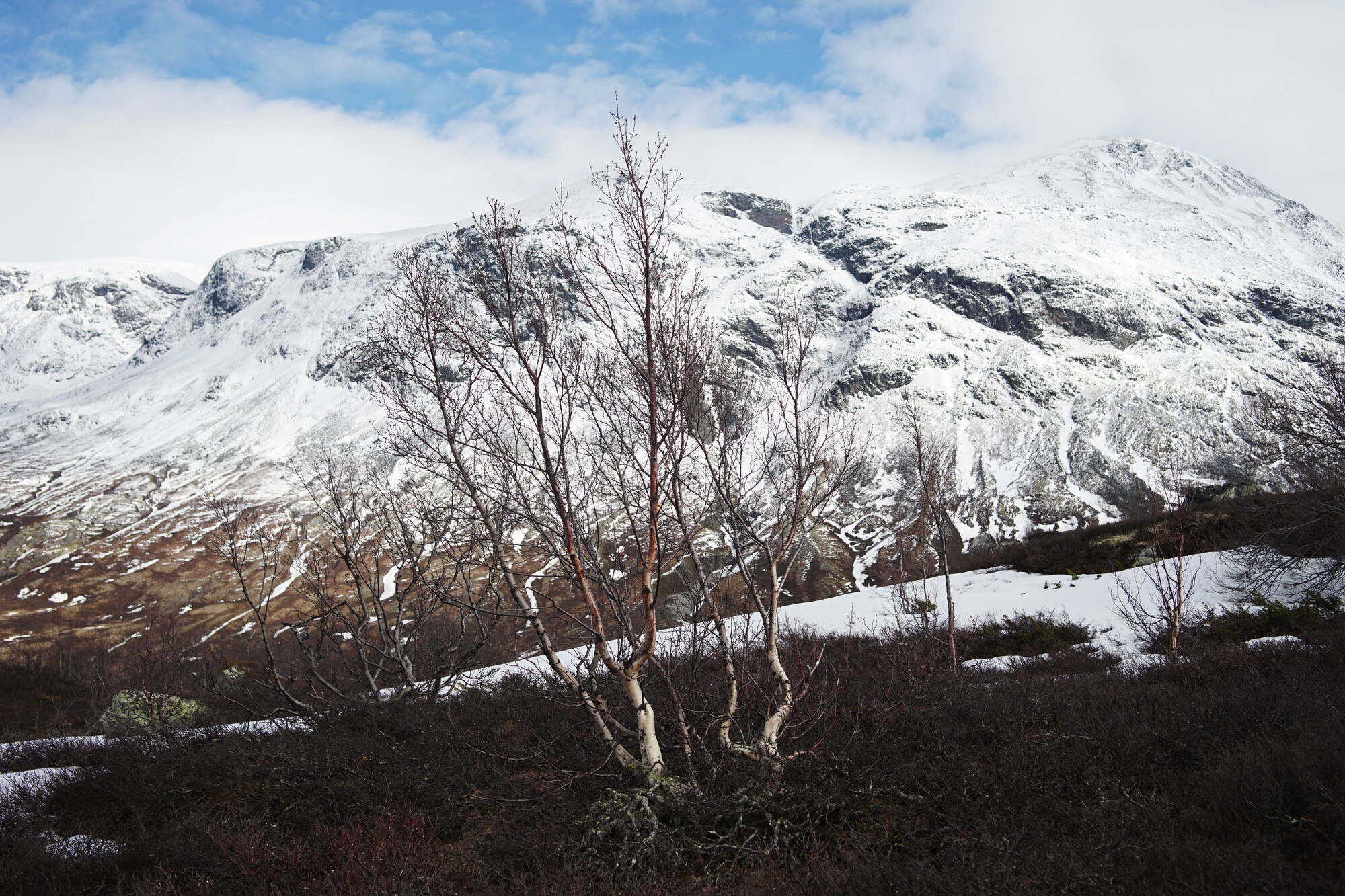 Invierno en Patagonia